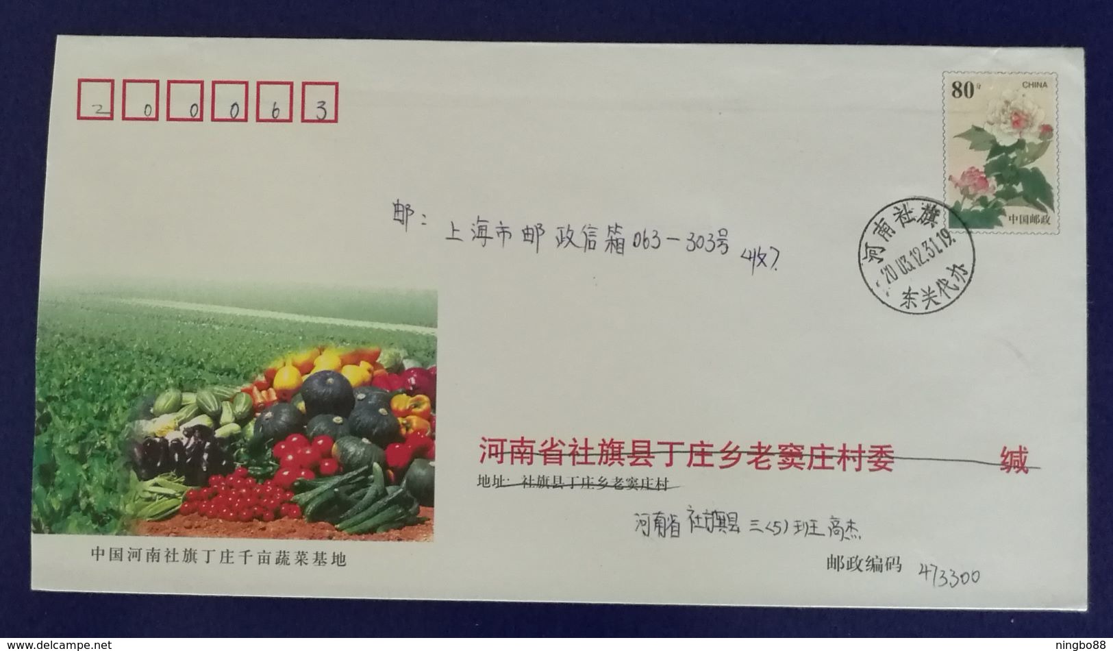 Pumpkin Cucumber Tomato Eggplant,China 2003 Sheqi Vegetable Planting Base Advertising Postal Stationery Envelope - Vegetables