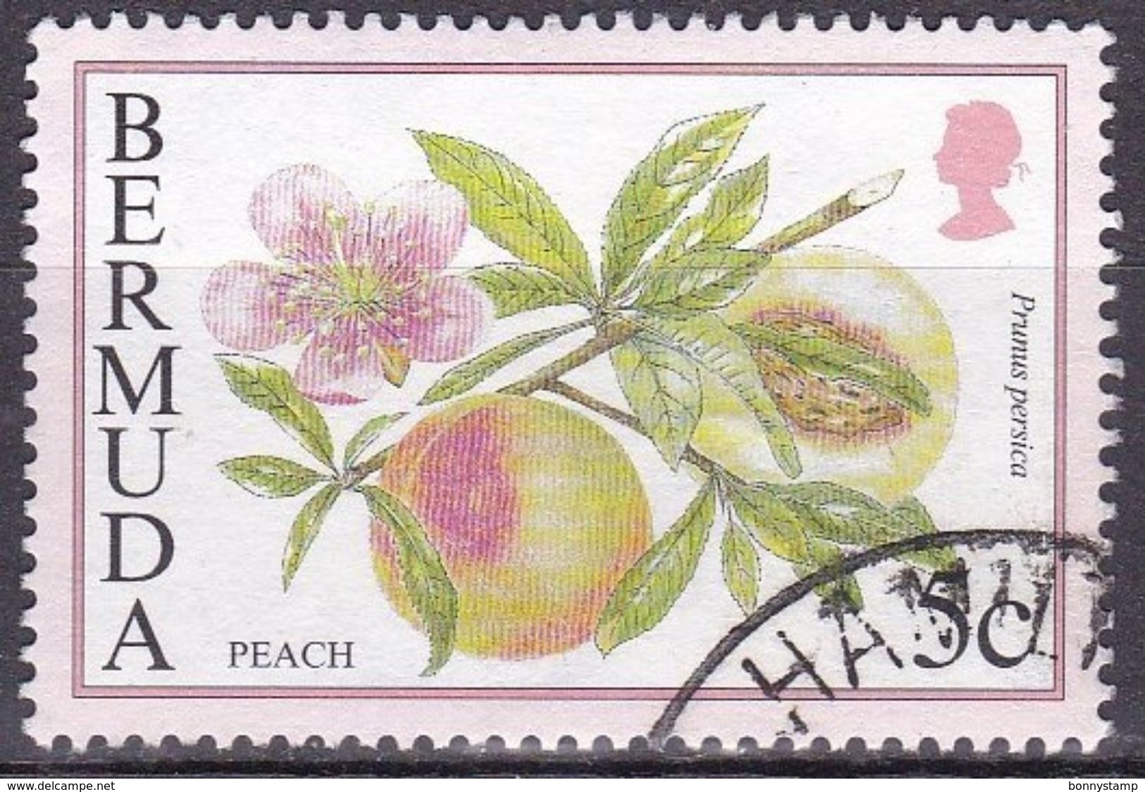 Bermuda, 1994/1995 - 5c Peach - Nr.668 Usato° - Bermudes