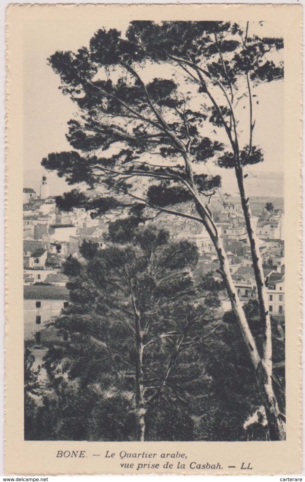 Afrique Du Nord,AFRICA,AFRIKA,Algérie,Algéria,ANNABA EN 1930,BONE,COLONIE,QUARTIER ARABE,olivier - Annaba (Bône)