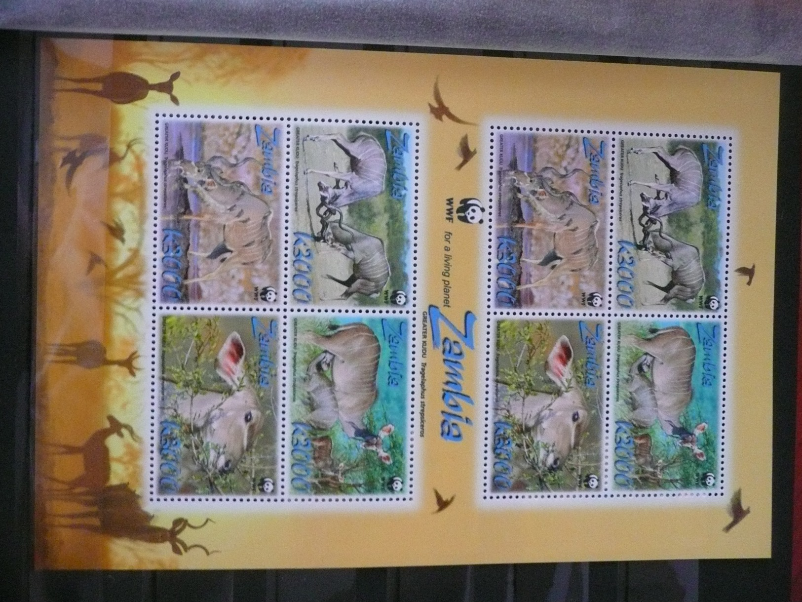 WWF Zambia Zambie Sambia Greater Kudu Grand Koudou  2008 2*4v Mnh MS - Ungebraucht