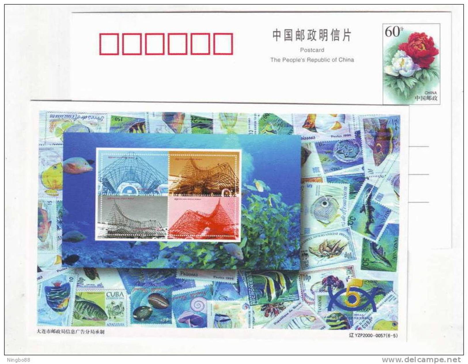 Fish Stamp,shell Seashell Stamp,China 2000 Dalian Ocean World Aquarium Advertising Pre-stamped Card - Coneshells