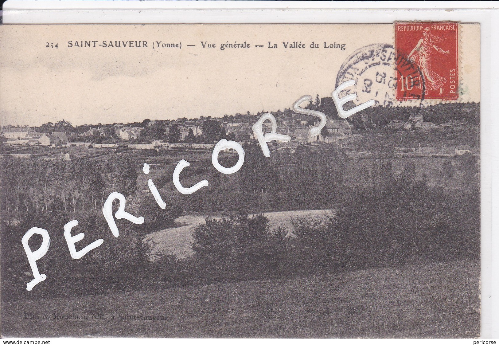 89  Saint Sauveur Vue Générale  La Vallée Du Loing - Saint Sauveur En Puisaye