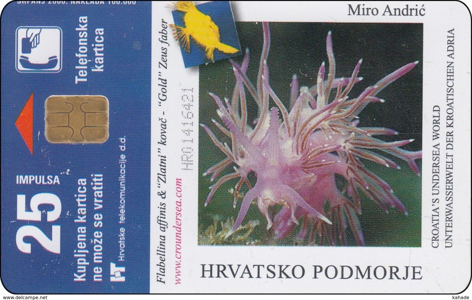 Kroatien Phonecard  Shell Underwater World Seepferd - Kroatien