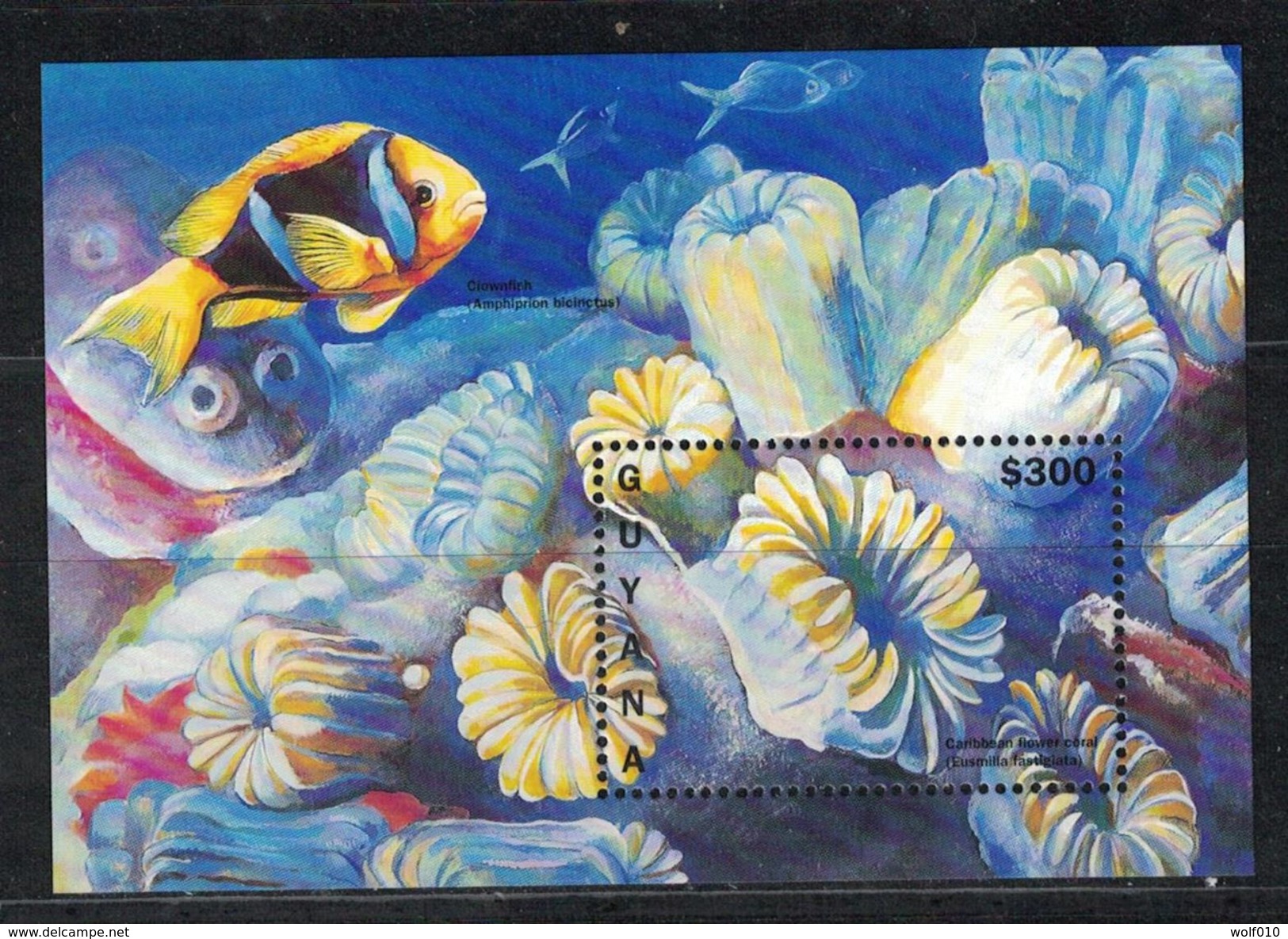 Guyana. 1996. Caribbean Flower Coral. MNH SS. SCV = 7.00 - Marine Life