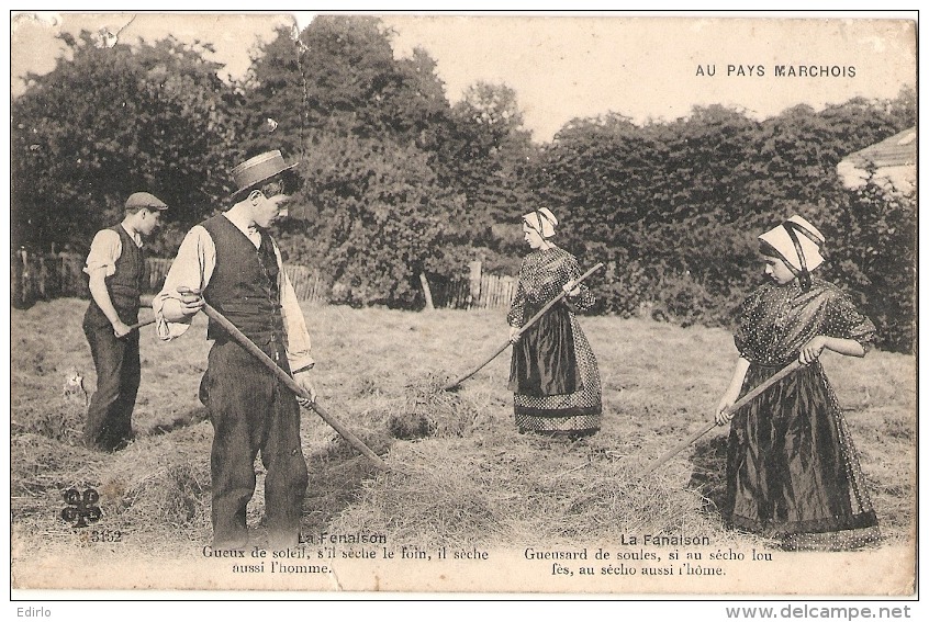 ----- LIMOUSIN ---- Marche -  Au Pays Marchois   La Fenaison-  Petits Défauts - Cultures