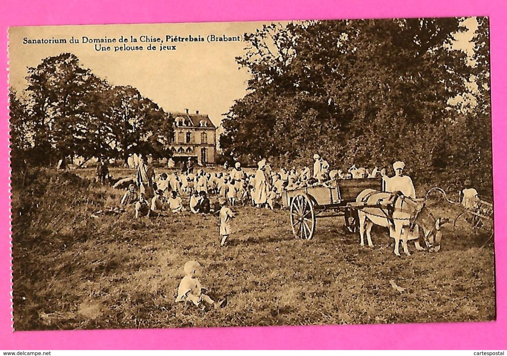 CPA -  PIETREBAIS  --  Sanatorium  Du  Domaine  De  La  Chise  --  Une  Pelouse  De  Jeux - Incourt