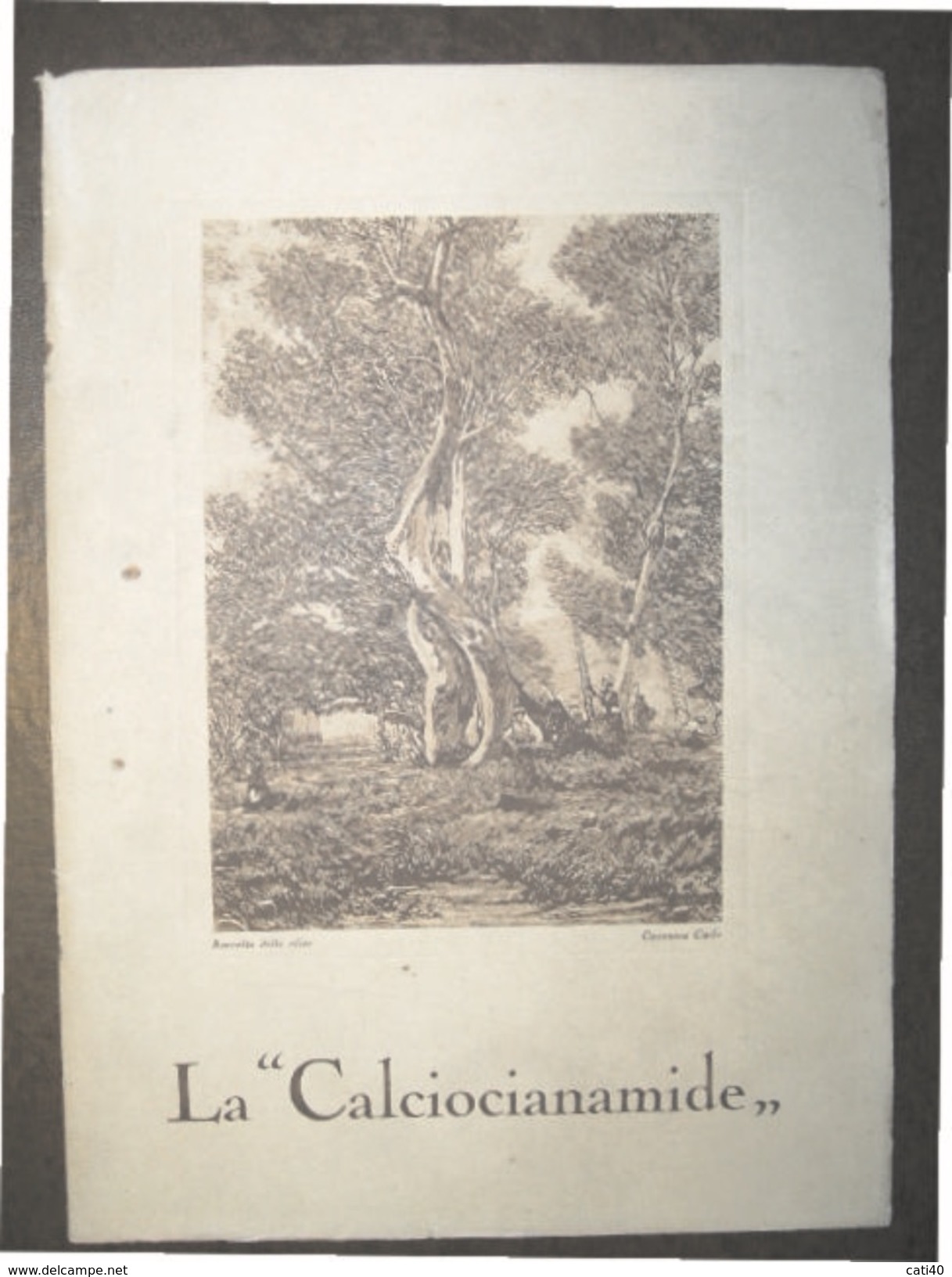 AGRICOLTURA  LA "CALCIOCIANAMIDE"  PROF.F.ZAGO - DR.S.GADDINI  TIP. RIZZOLI 1926 STAMPA RACCOLTA DELLE OLIVE DI CASANOVA - Jardinería