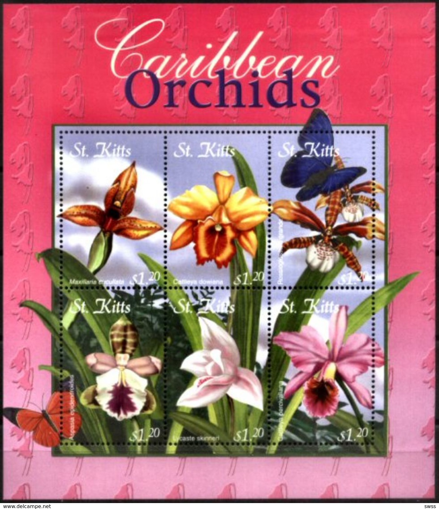 ST. KITTS, 2001, FLOWERS, ORCHIDS, YV#1022-27, MNH - St.Kitts En Nevis ( 1983-...)