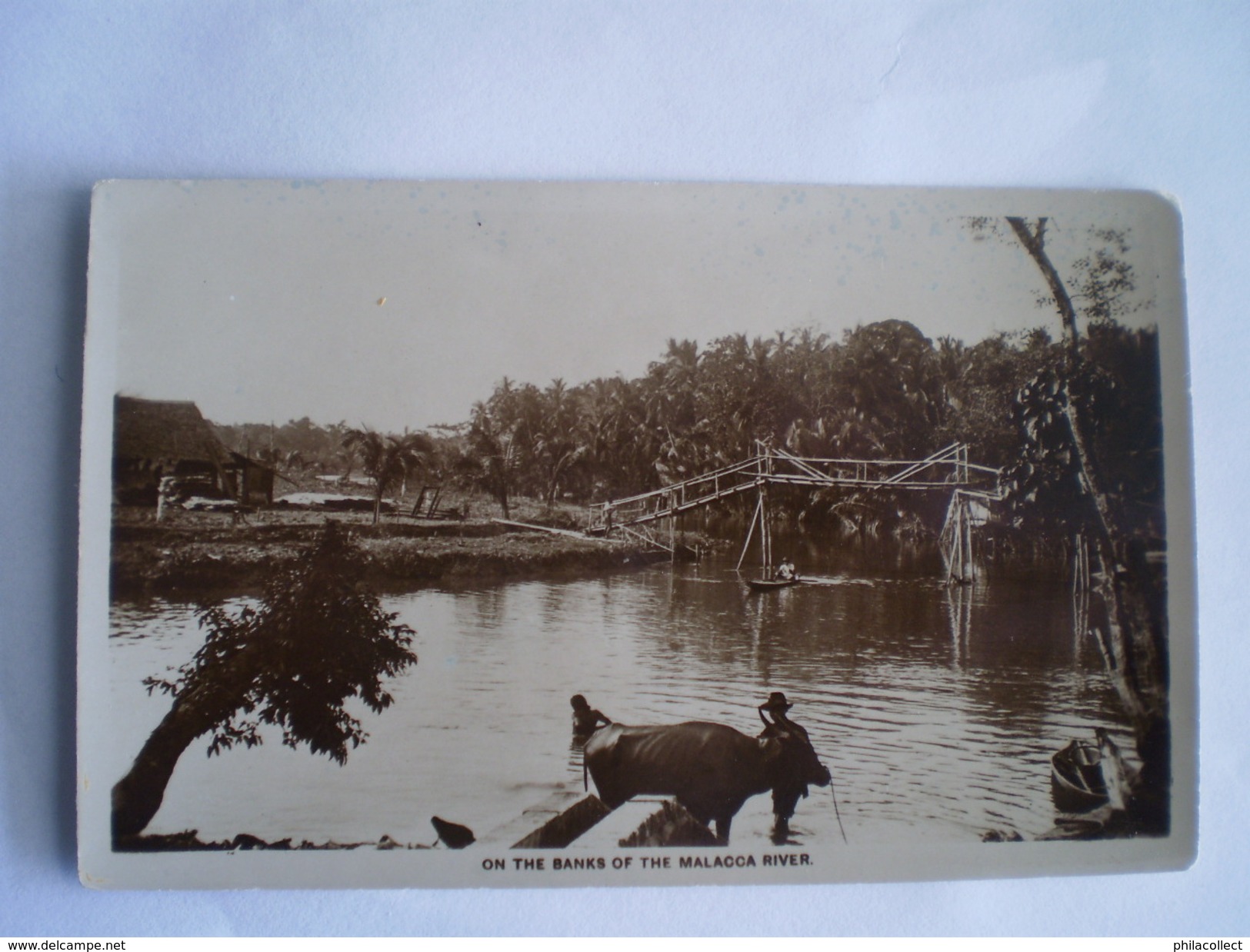 Malaysia // On The Banks Of The Malacca River (photocard - Carte Photo) 19?? - Maleisië