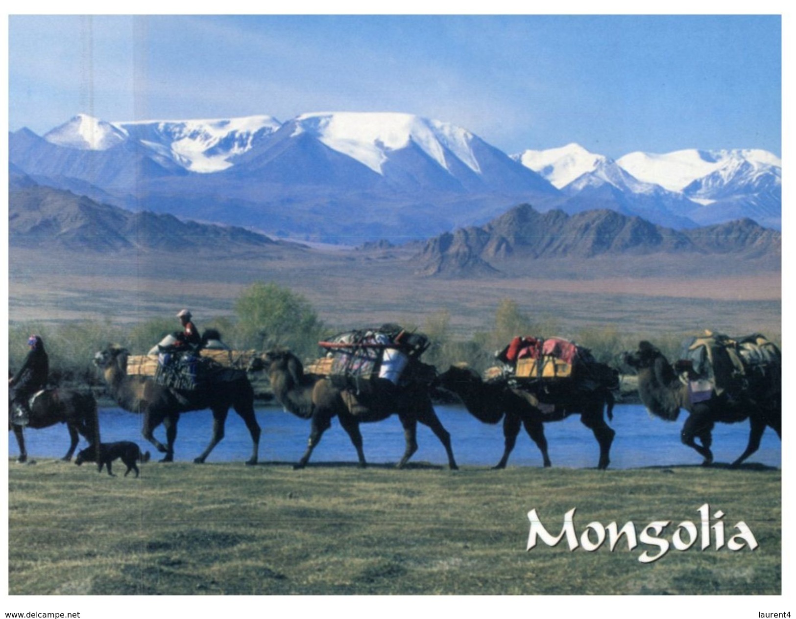 (325) Mongolia - Camel Caravan - Mongolië