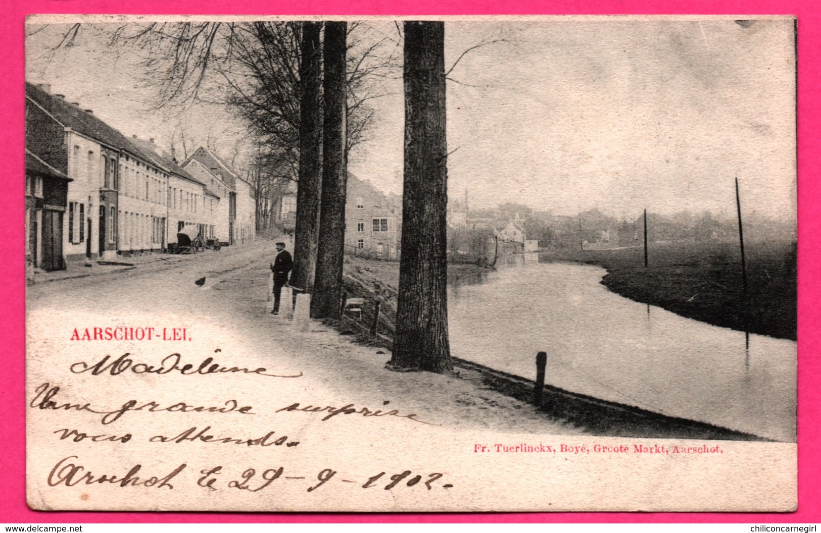 Aarschot Lei - Animée - Fr. TUERLINCKX BOYÉ GROOTE MARKT - 1902 - Oblit. Aerschot à Braine L'Alleud - Aarschot