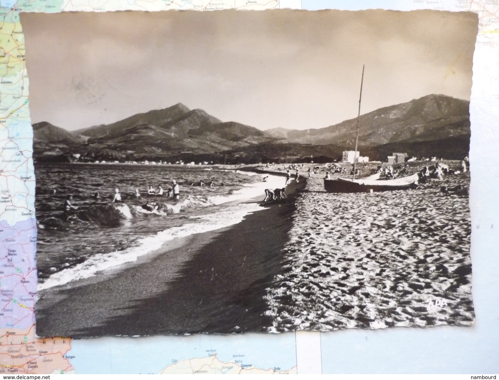 La Plage, Au Fond Les Albères - Argeles Sur Mer