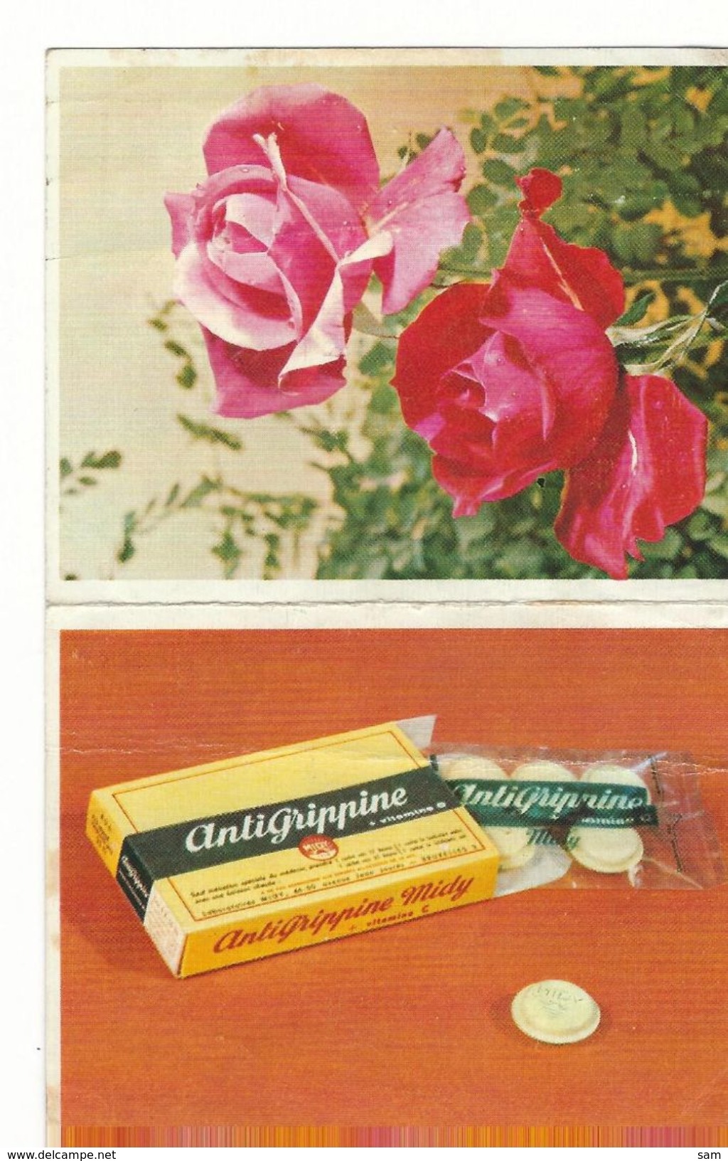 Rose Antigrippine 1966  Calendrier / Rozen   Antigrippine 1966 Kalender - Formato Piccolo : 1961-70