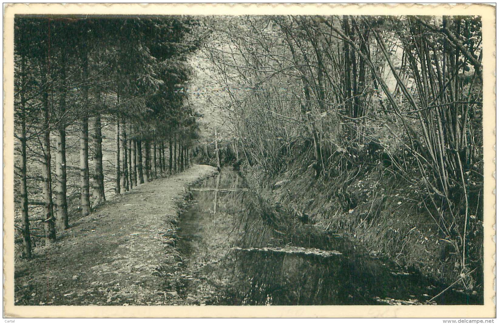 GRUPONT - Sous-bois Attenant à La Maison De Repos De La Gendarmerie - Tellin