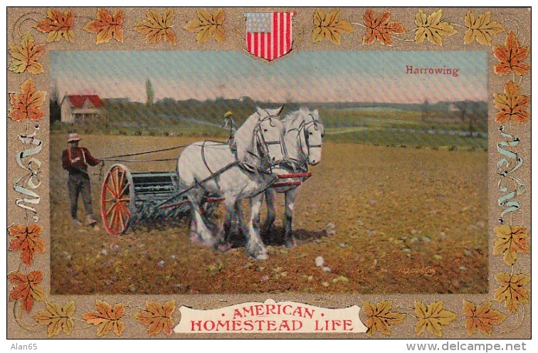 American Homestead Life, Farmer With Team Of Horses Readies Field For Planting C1900s/10s Vintage Postcard - Cultivation