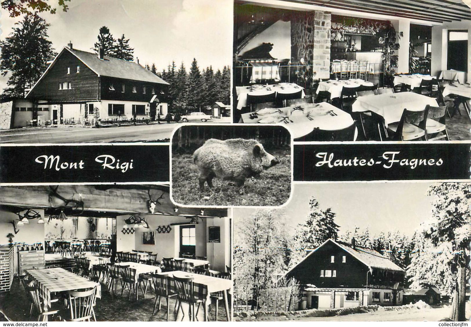 CPSM BELGIQUE "Elsenborn, Hotel Restaurant Mont Rigi" - Elsenborn (Kamp)