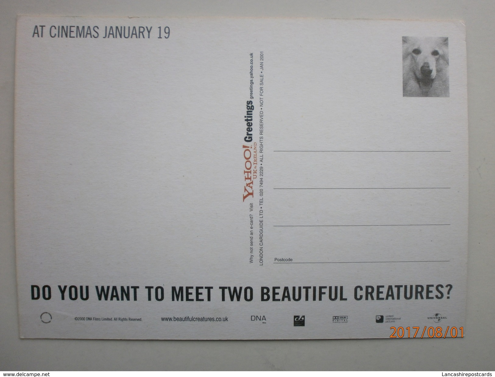 Postcard Beautiful Creatures Rachael Weisz And Susan Lynch Film Poster Advertisment Card My Ref B21706 - Posters On Cards