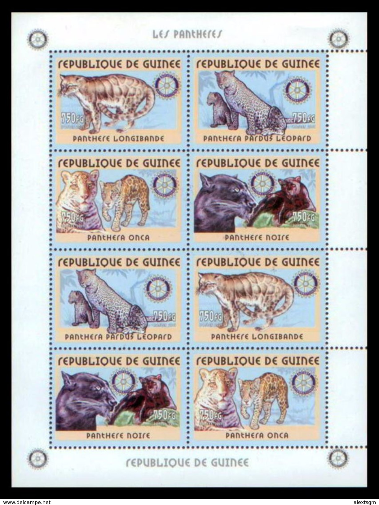 GUINEA 2001 - Panthers, Rotary M/S - YT 2033-6; CV = 56 &euro; - Rotary, Lions Club