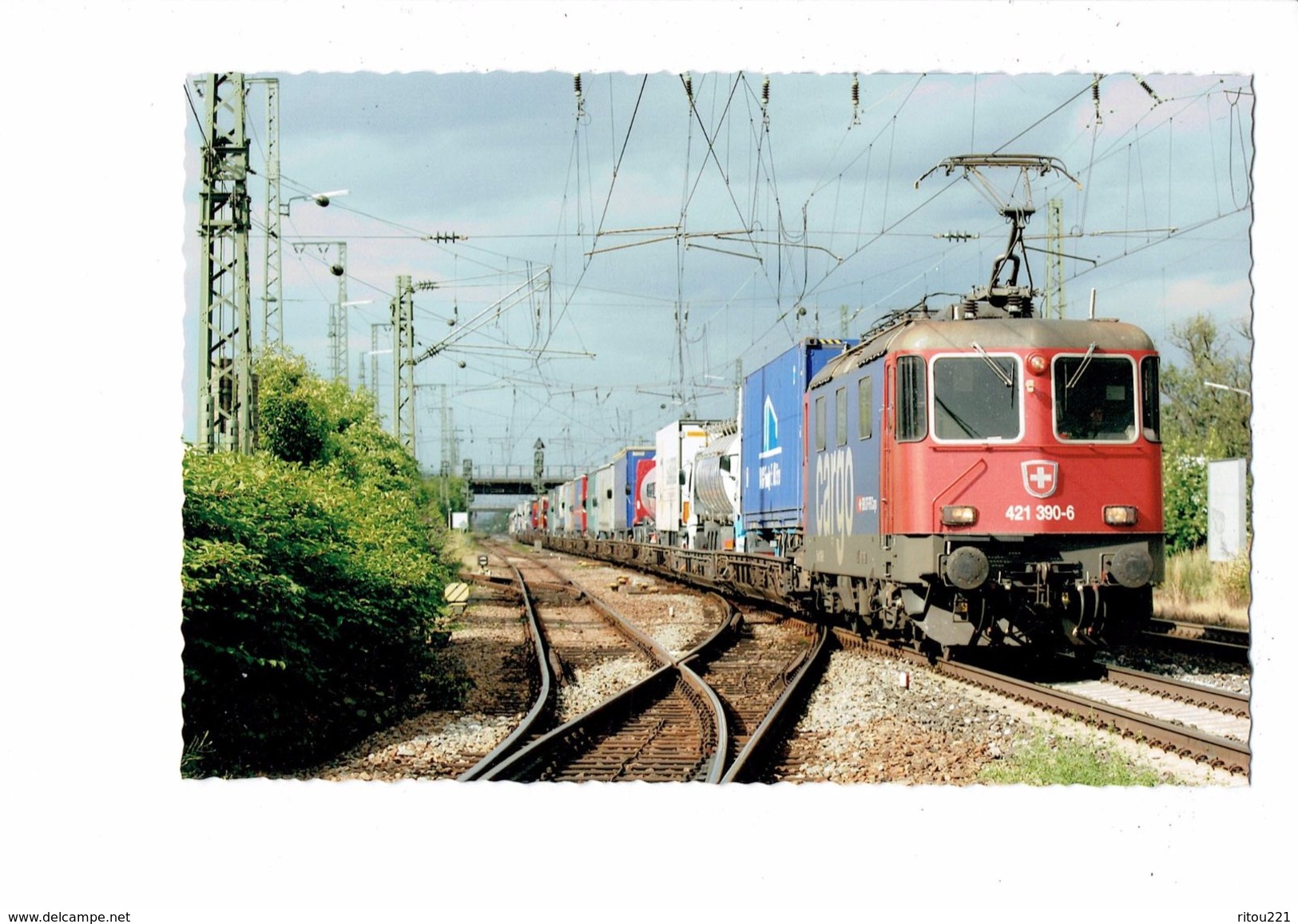 Carte Photo Moderne - ALLEMAGNE - Müllheim  - TRAIN 421-390-6  RÉGIONAL CARGO  - 2005 - Locomotive - Muellheim