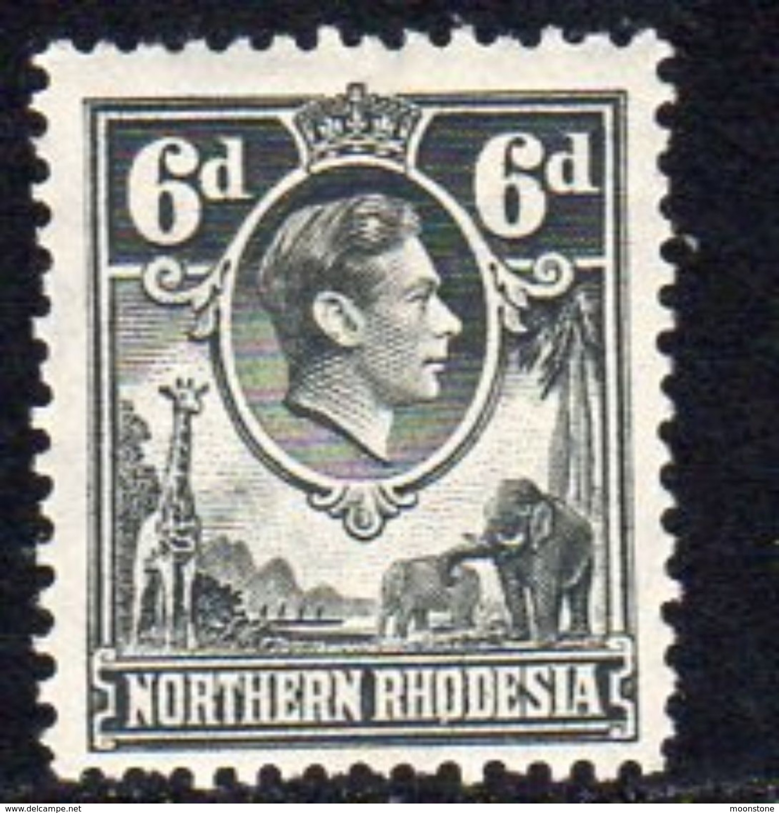 Northern Rhodesia GVI 1938-52 6d Grey Giraffe Elephant Definitive, Hinged Mint, SG 38 (BA) - Northern Rhodesia (...-1963)