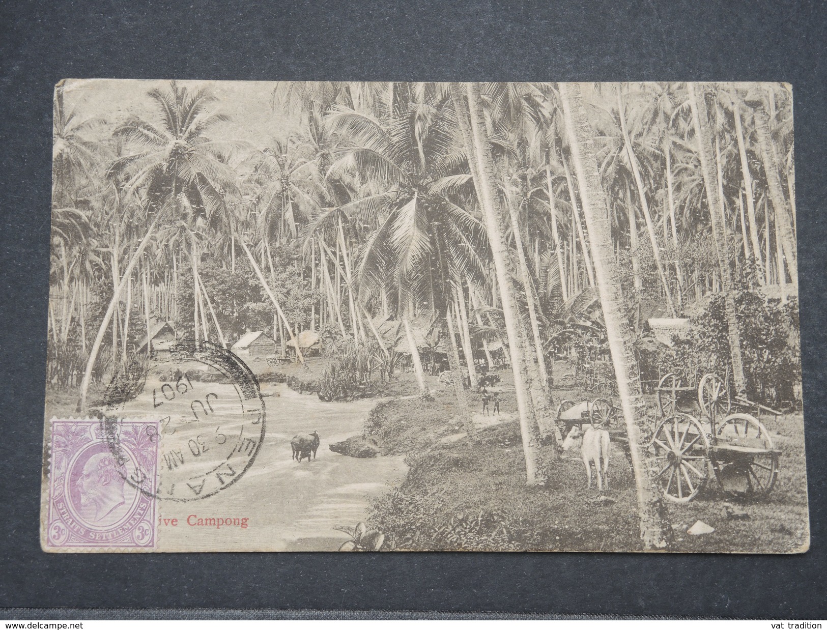 MALAISIE - Oblitération De Penang Sur Carte Postale En 1907 Pour La France - L 9638 - Penang