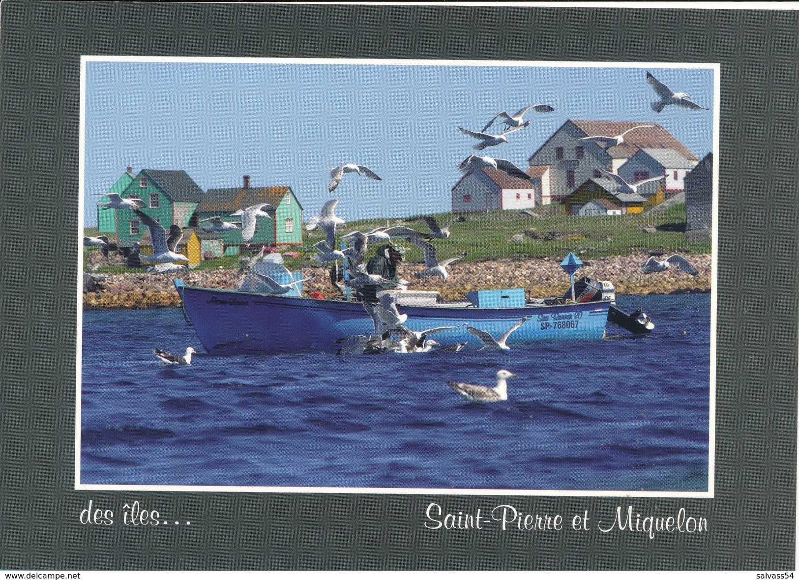 SAINT-PIERRE-ET-MIQUELON : Des Iles... - Saint-Pierre-et-Miquelon