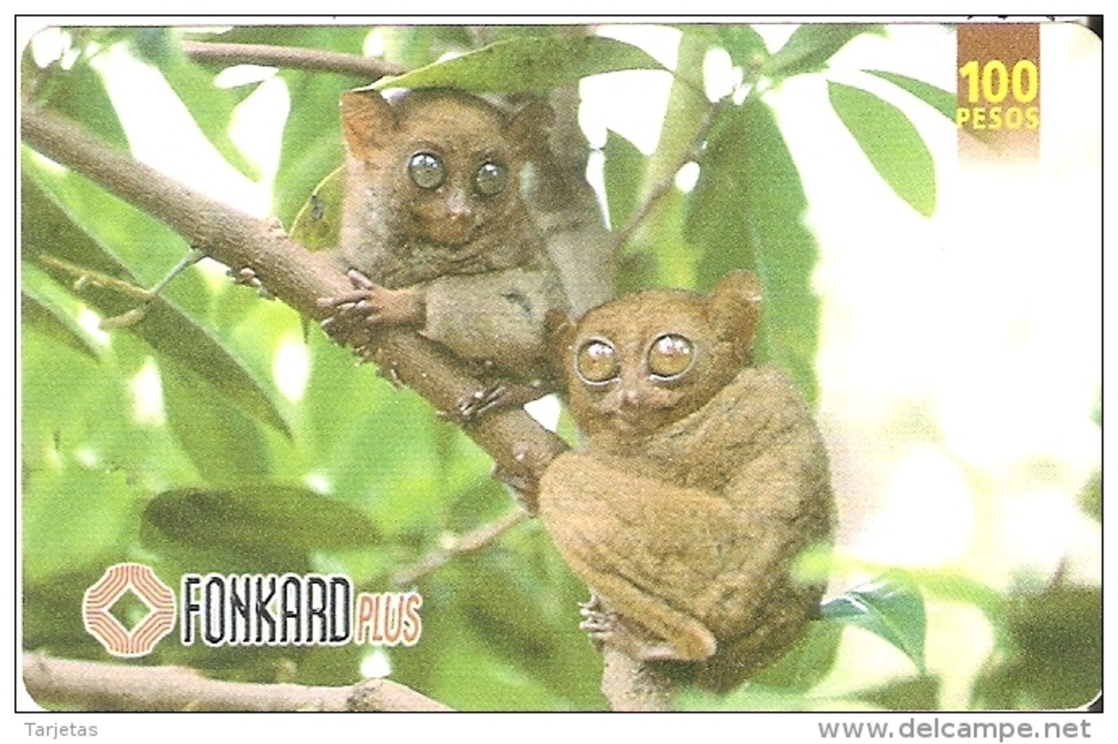 TARJETA DE FILIPINAS DE UNOS MONOS   (MONKEY-MONO) - Philippinen