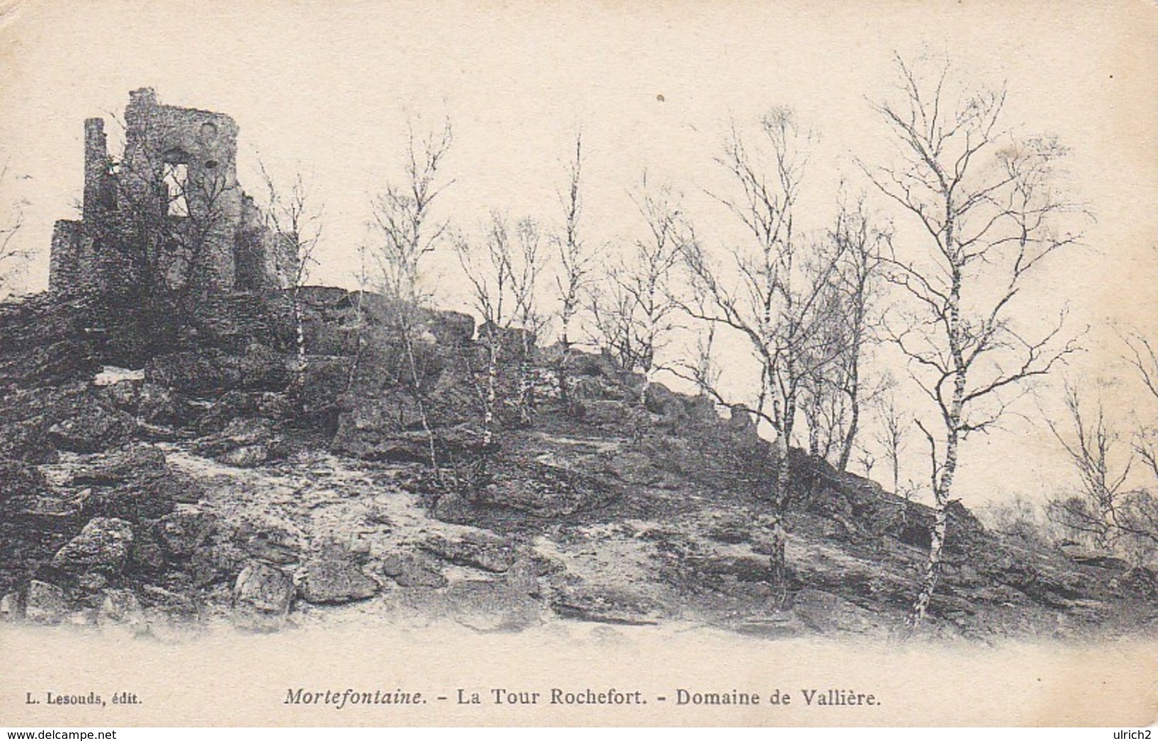 CPA Mortefontaine  - La Tour Rochefort - Domaine De Vallière (29901) - Thourotte