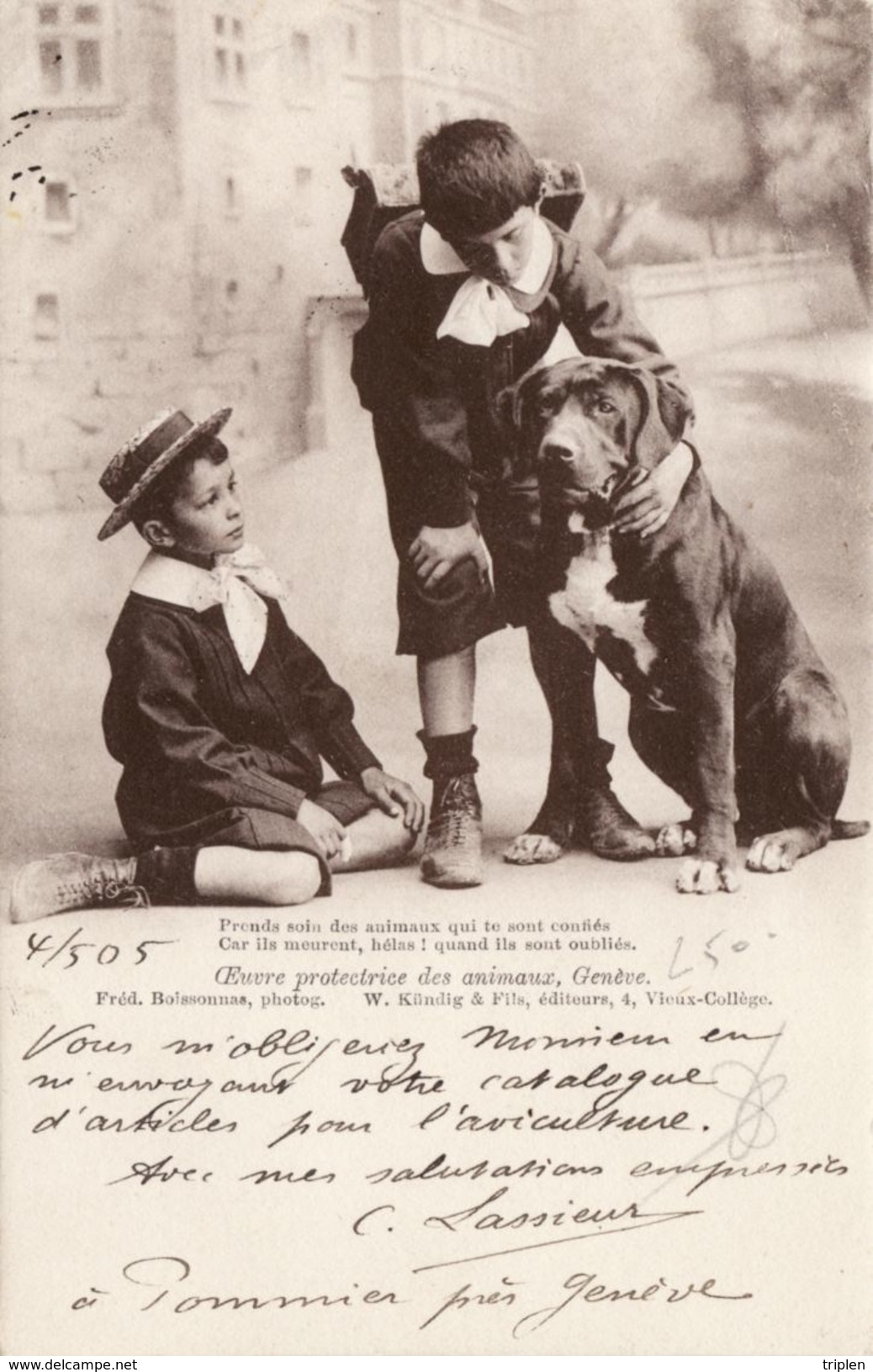 Oeuvre Protectrice Des Animaux - Enfants Avec Chien - Altri & Non Classificati