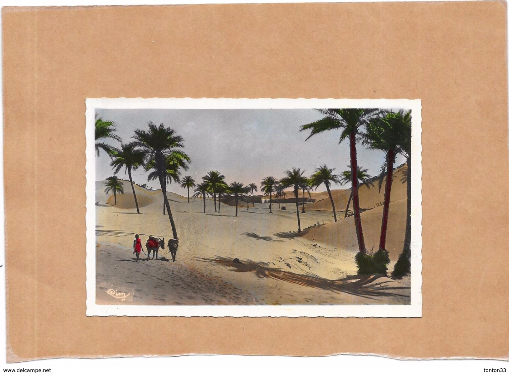 Collection Artistique L'AFRIQUE  - Dunes De Sable Envahissant L'Oasis - ENCH - - Scènes & Types