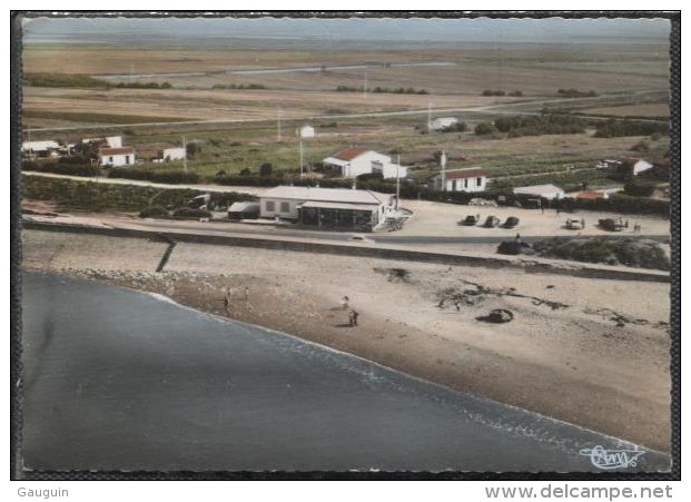 CPSM - L'AIGUILLON S/MER - LA PTE VUE AERIENNE - Edition Combier - Sonstige & Ohne Zuordnung