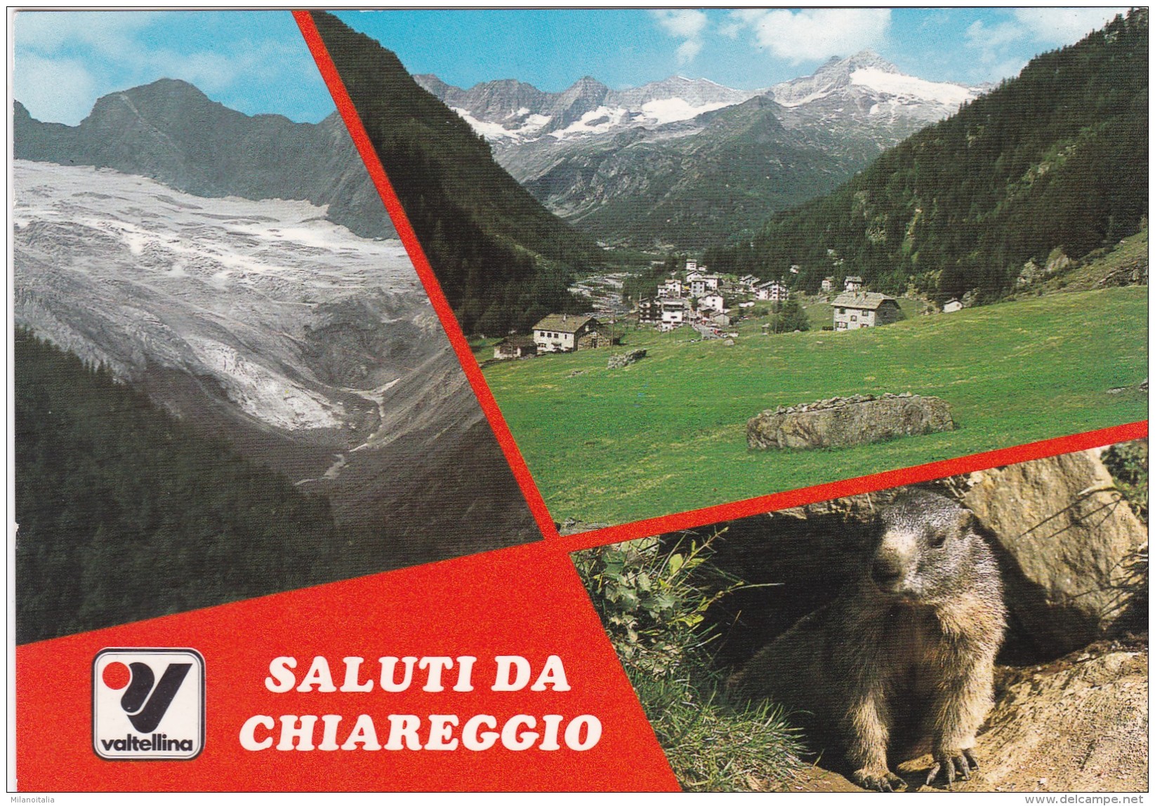 Saluti Da Chiareggio - 3 Bilder (18182) - Sondrio