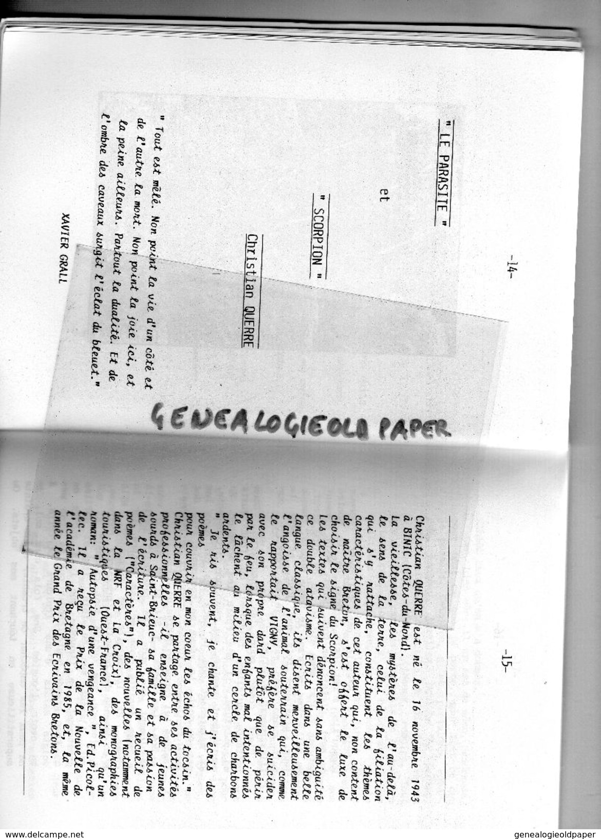87 - LIMOGES - RARE REVUE ANALOGIE ART ET CRITIQUE-BRETAGNE-1987 LAURENT BOURDELAS-DESSIN JARRAUD-BRANWENN-ENVEL-CLOULAS