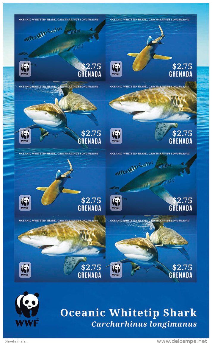 GRENADA 2014 ** WWF Oceanic Whitetip Shark Haie M/S - OFFICIAL ISSUE - DH9999 - Other & Unclassified