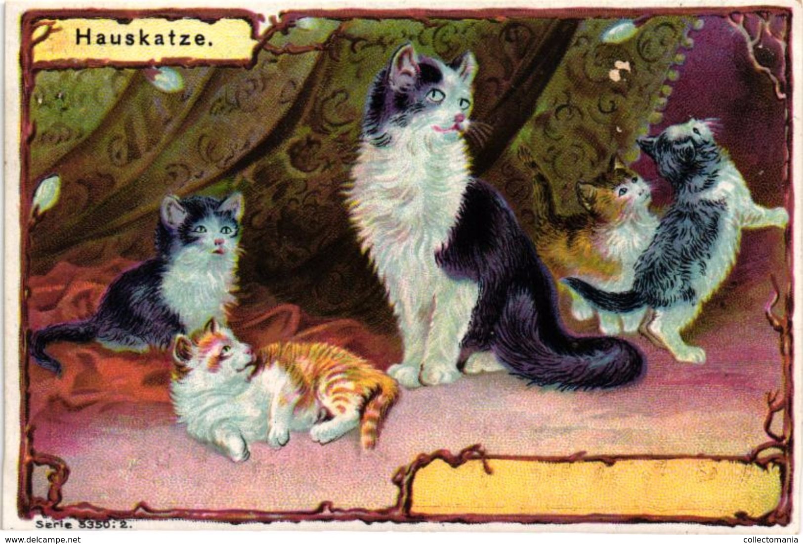 6 Cards RRR Probedruck Litho Chromo Set C1900 PUB LIEBIG CREME 09 - German Text  Serie 5350 Cats Katzen Chats Katten VG - Liebig