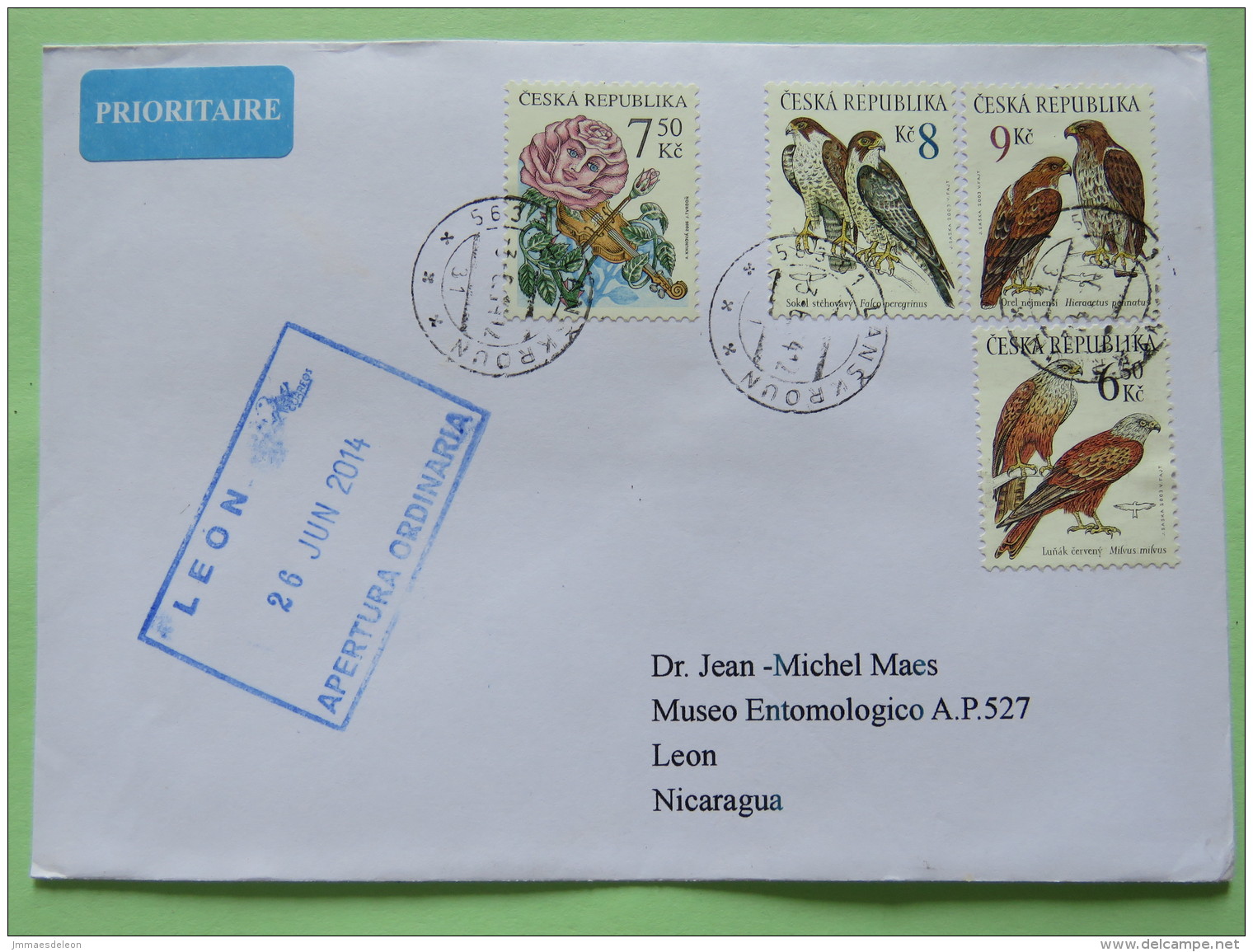 Czech Rep. 2014 Cover To Nicaragua - Rose Playing Violin Music - Birds Eagles Milvus Falco - Covers & Documents