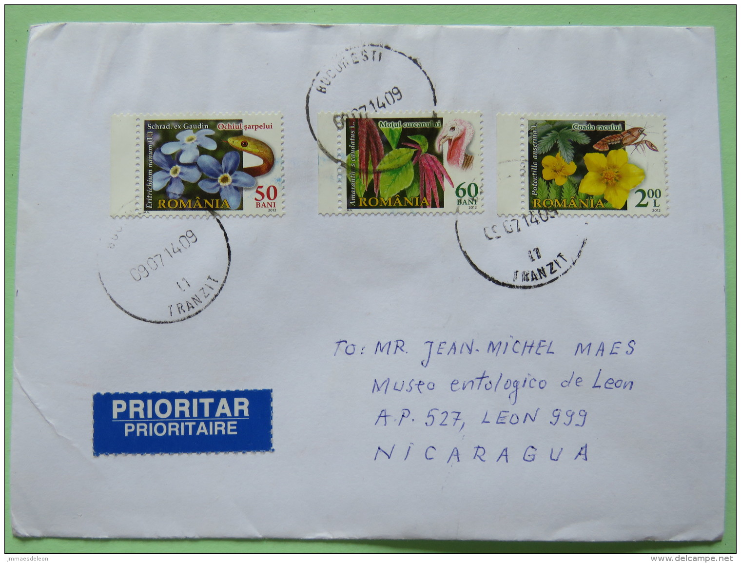 Romania 2014 Cover Bucharest To Nicaragua - Flowers Plants Amaranthus Lobster Snake Bird Turkey - Covers & Documents