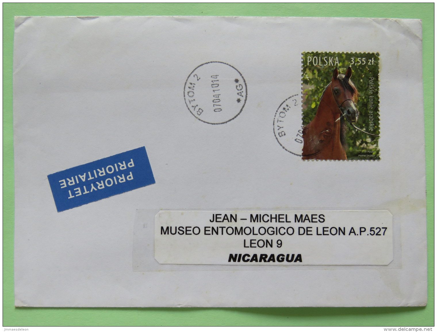 Poland 2010 Cover Bytom To Nicaragua - Horse - Covers & Documents