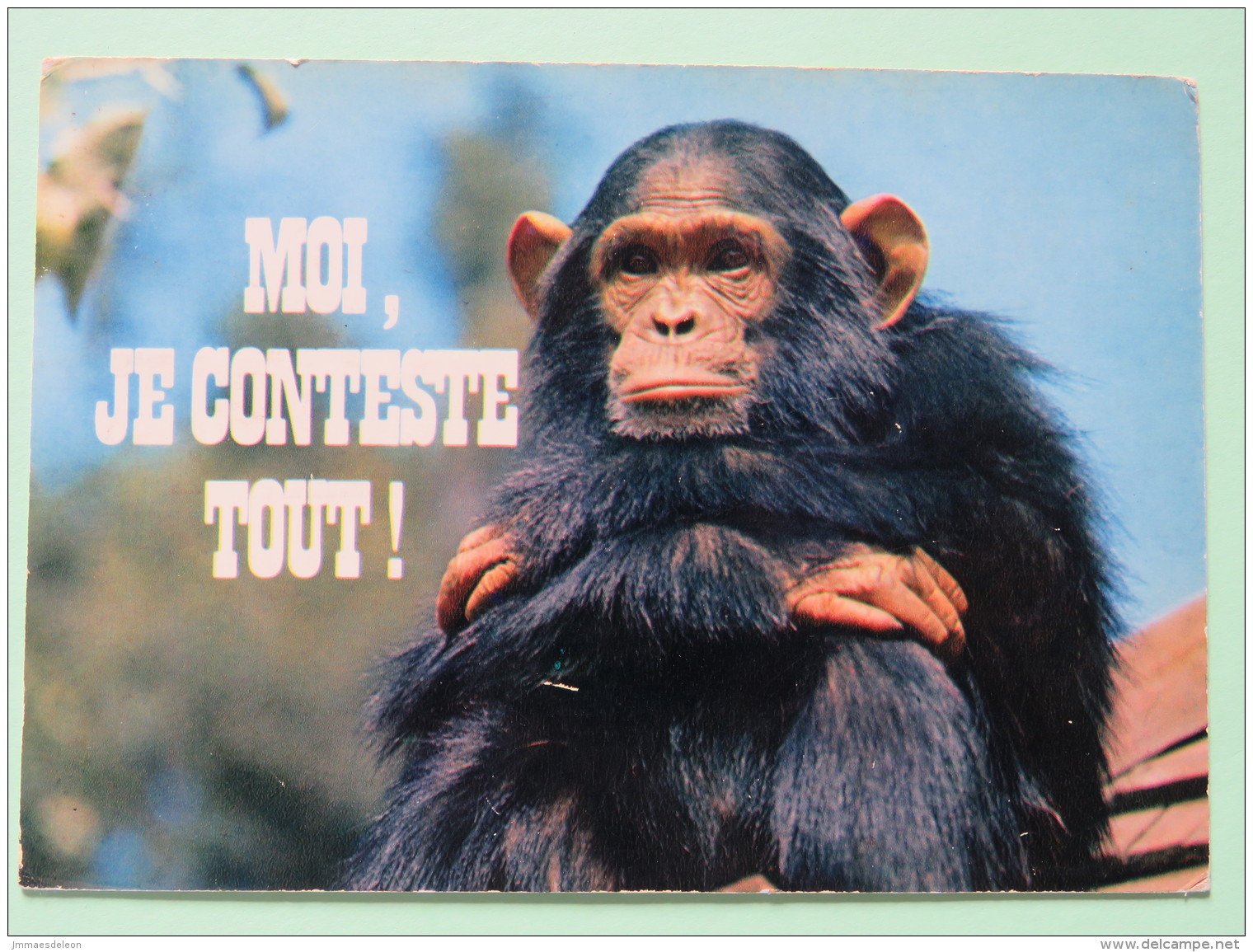 Belgium 1971 Postcard ""chimp Monkey Chimpanze"" Heist To Liege - Lion - Covers & Documents