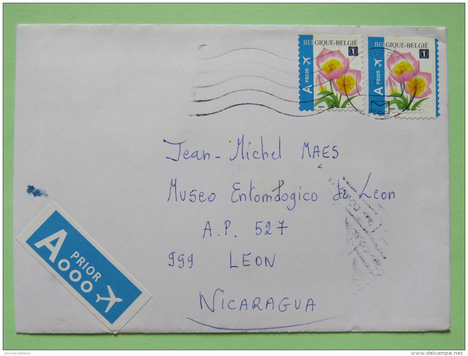 Belgium 2011 Cover Charleroi To Nicaragua - Flowers - Covers & Documents