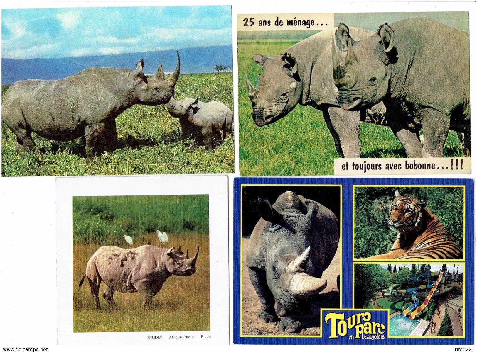 Lot 4 Cpm - RHINOCÉROS - - Rhinocéros