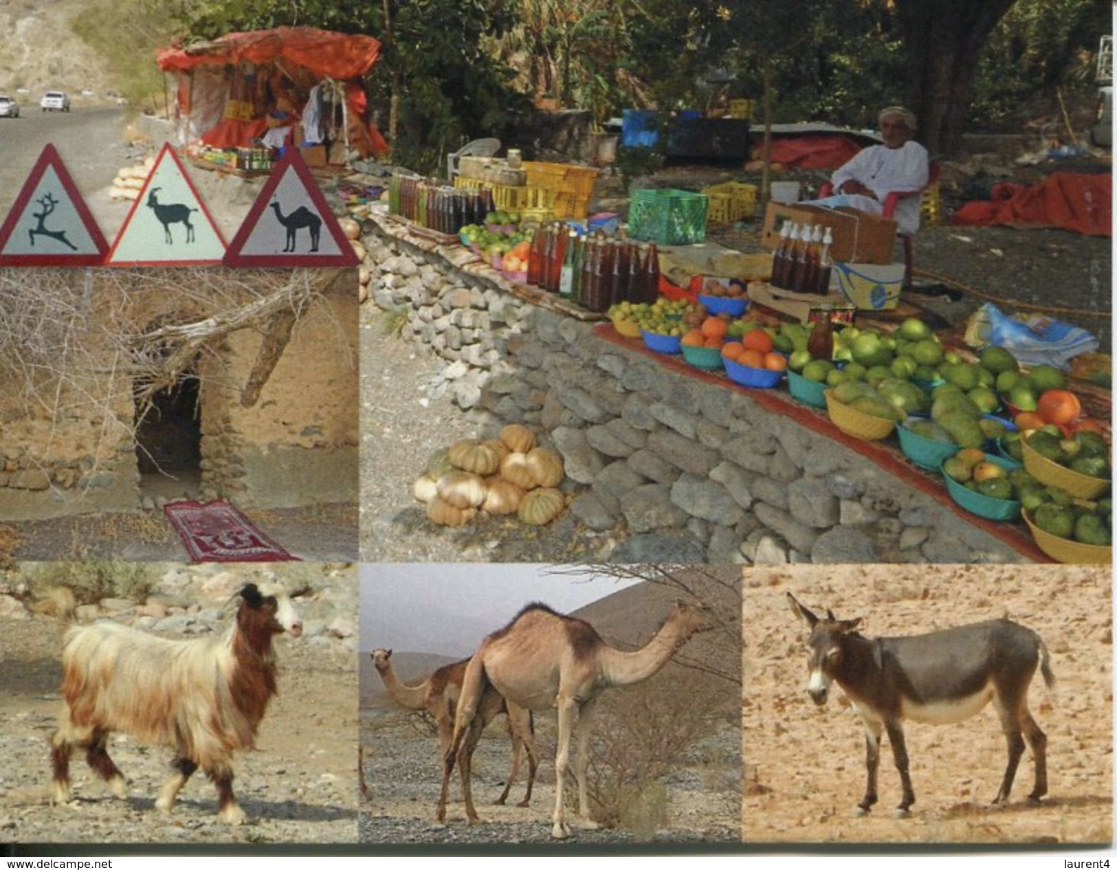 Oman - Farming - Oman