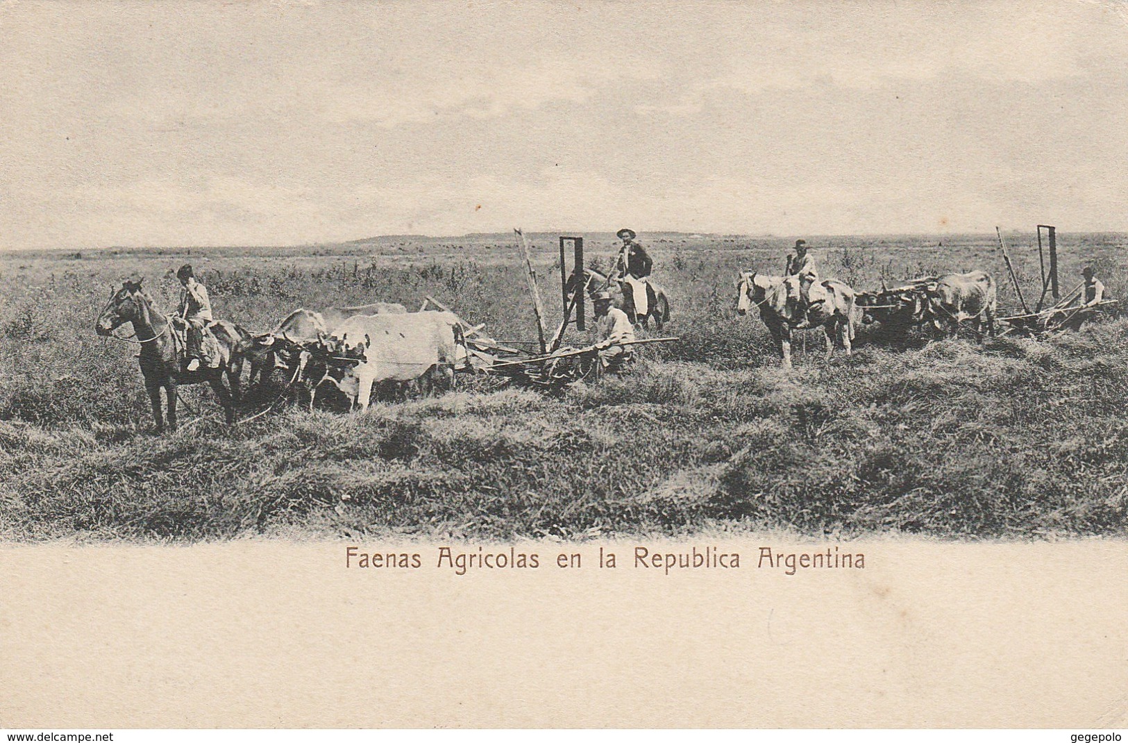 Faenas Agricolas En La Republica Argentina - Argentinien