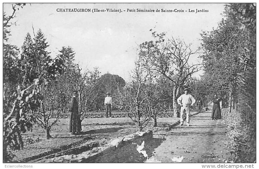 Chateaugiron       35      Jardins Du Petit Séminaire De Ste Croix      (voir Scan) - Châteaugiron