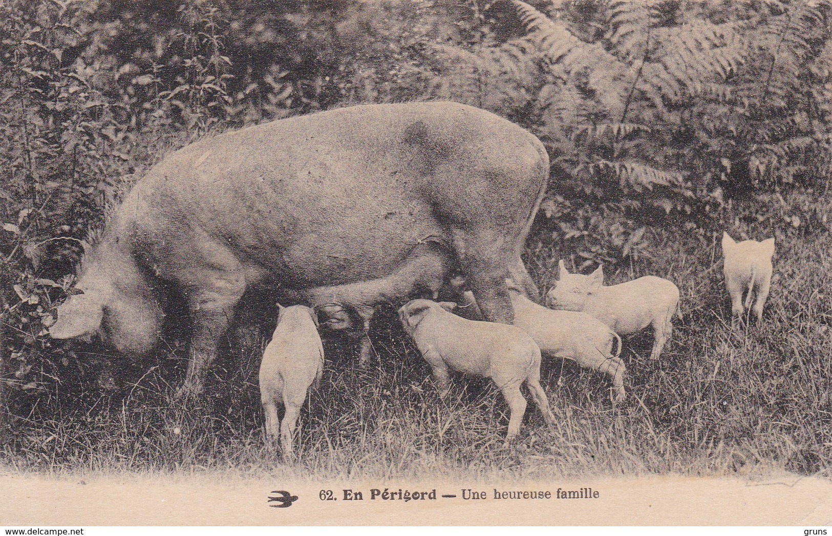 En Perigord Une Heureuse Famille - Sonstige & Ohne Zuordnung