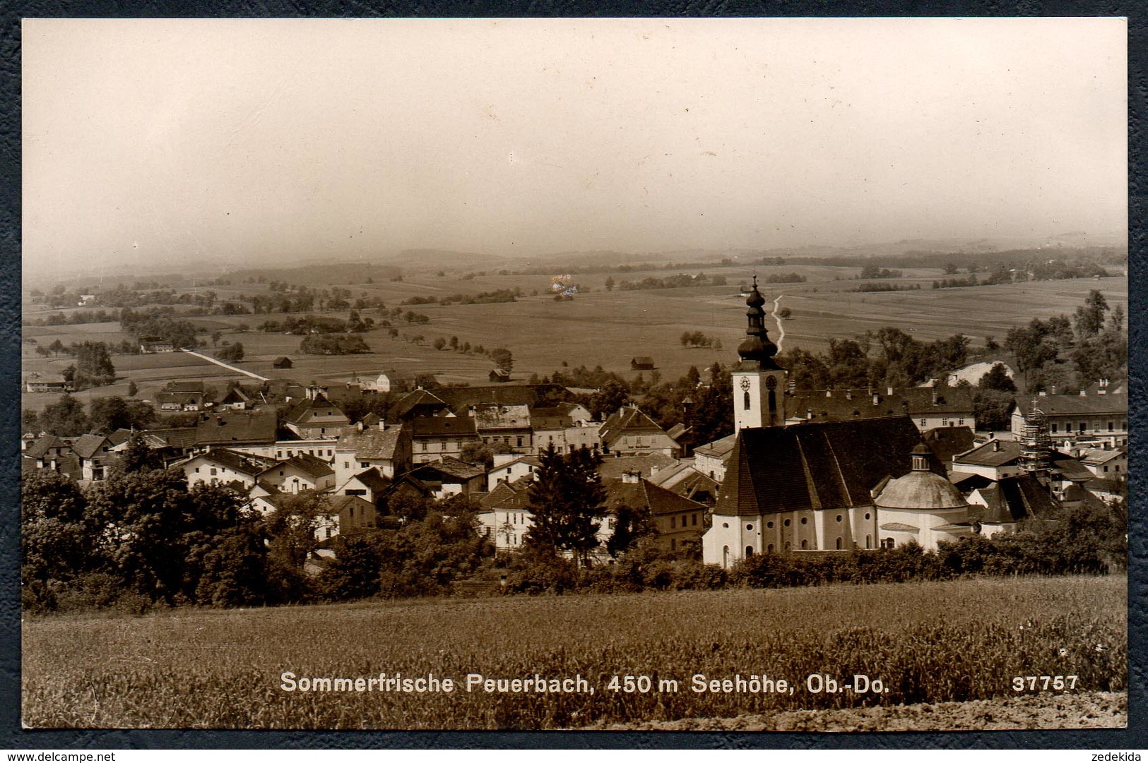 A5363 - Alte Foto Ansichtskarte - Peuerbach - Ledermann - Grieskirchen