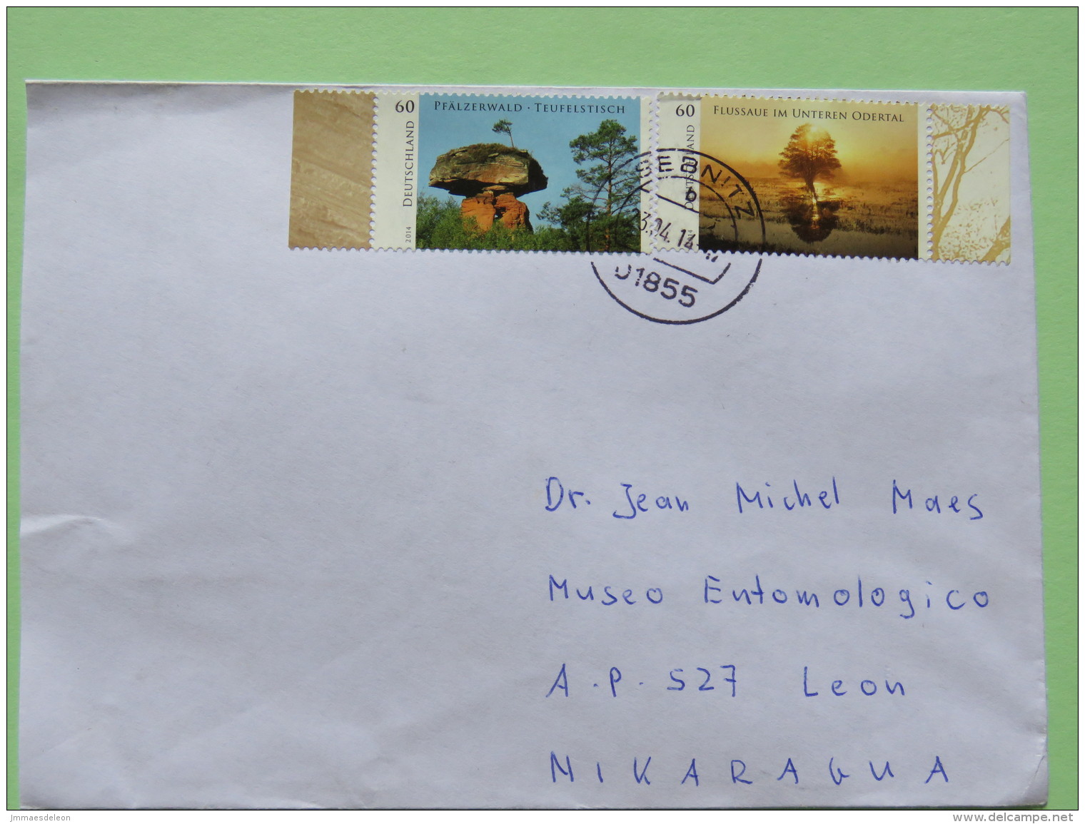 Germany 2014 Cover To Nicaragua - Tree - Rock - Covers & Documents