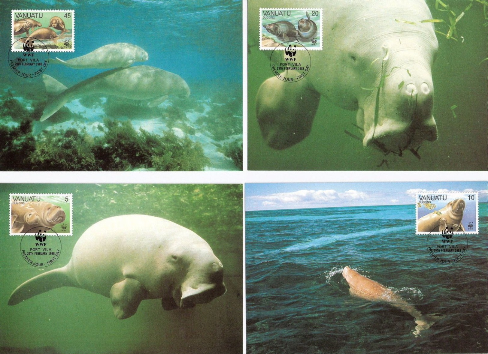 WWF  Vanuatu Dugong Seekuh 1988 4 CM MC MK Maxi Maximum Card Carte Maxicard Maximumkarte - Maximum Cards