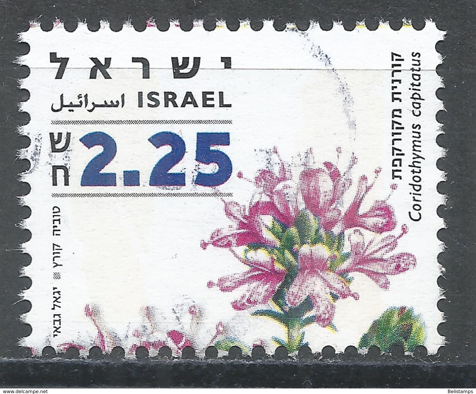 Israel 2007. Scott #1701 (U) Medicinal Herb, Coridothymus Capitatus - Oblitérés (sans Tabs)