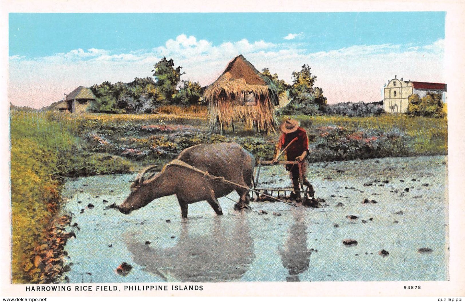 D6246 "FILIPPINE - HARROWING RICE FIELD, PHILIPPINE ISLAND"  ANIMATA, CARRO CON BUE. CART  NON  SPED - Philippines